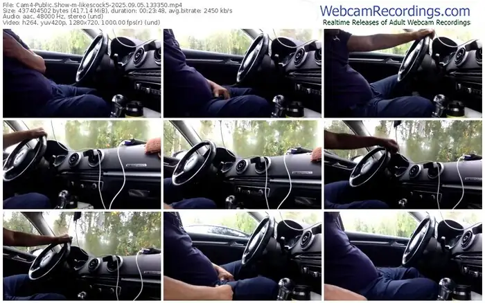 2025/09/05/cam4-likescock5-13-33-50