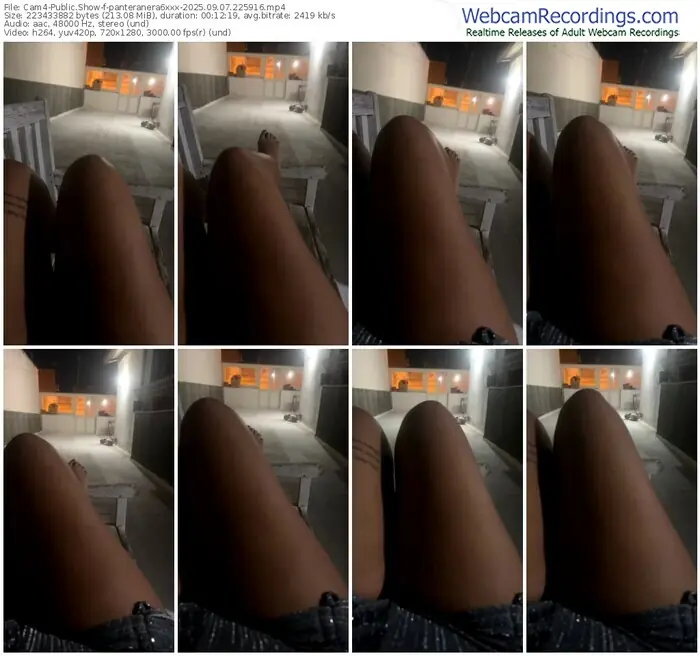 2025/09/07/cam4-panteranera6xxx-22-59-16