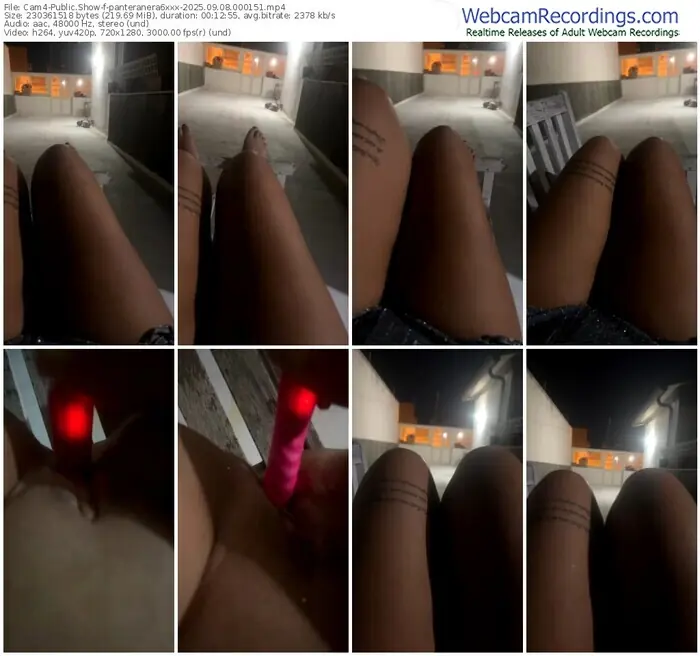 2025/09/08/cam4-panteranera6xxx-00-01-51
