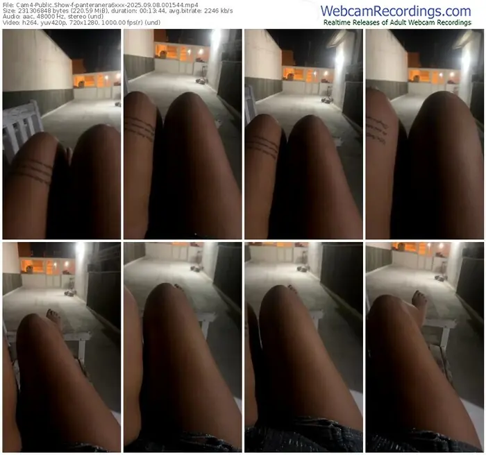 2025/09/08/cam4-panteranera6xxx-00-15-44