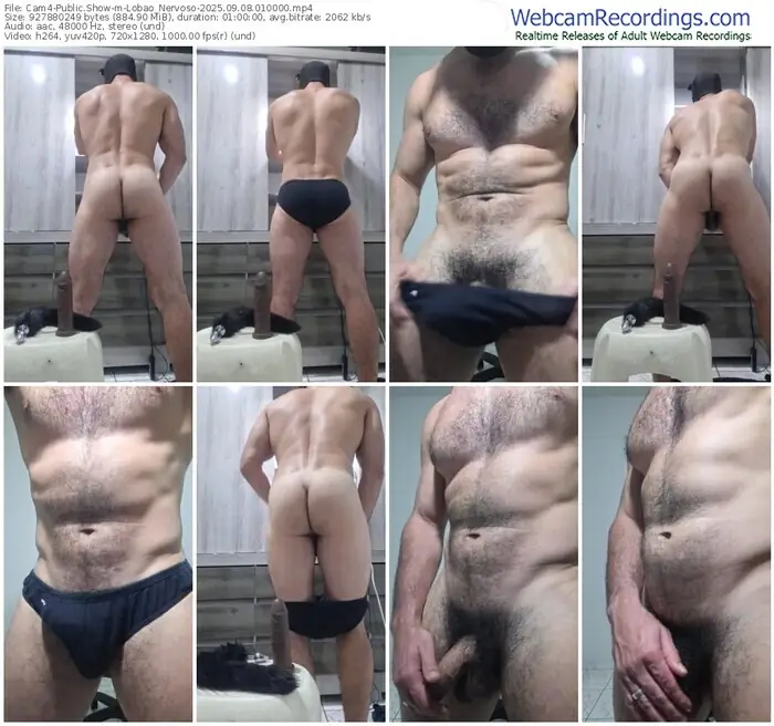 2025/09/08/cam4-lobao_nervoso-01-00-00