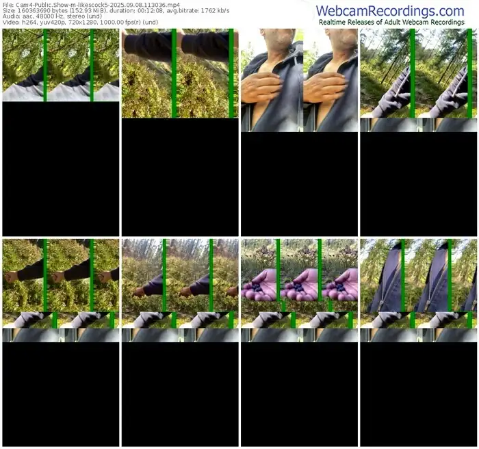 2025/09/08/cam4-likescock5-11-30-36