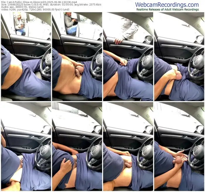 2025/09/08/cam4-likescock5-13-22-36