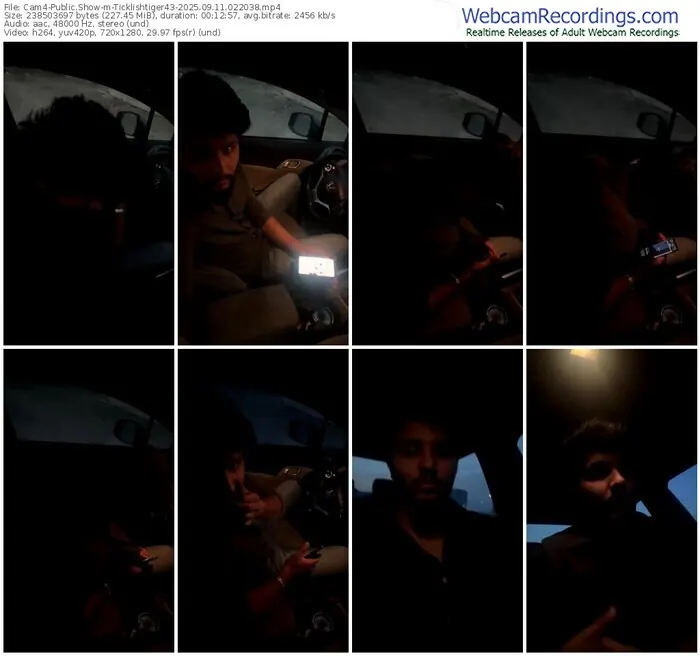 2025/09/11/cam4-ticklishtiger43-02-20-38