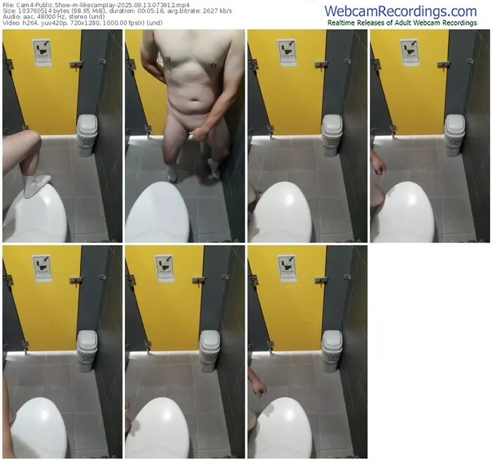 2025/09/13/cam4-likecamplay-07-39-12