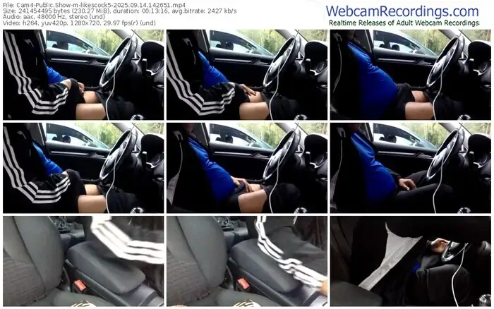 2025/09/14/cam4-likescock5-14-26-51