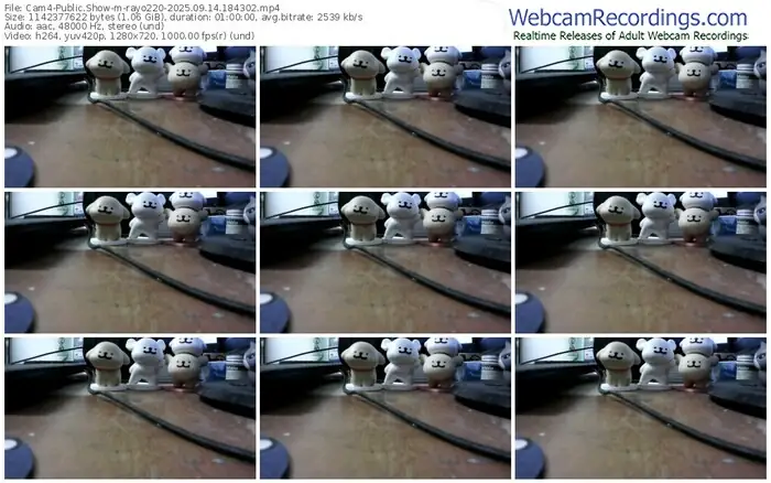 2025/09/14/cam4-rayo220-18-43-02