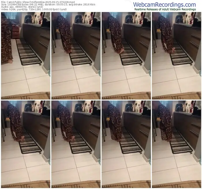 2025/09/15/cam4-milferotika-07-02-28