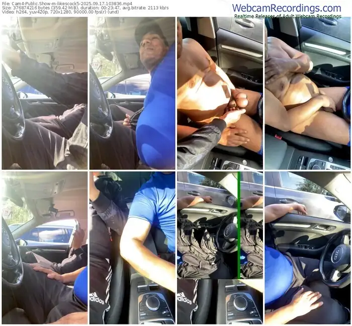 2025/09/17/cam4-likescock5-10-38-36