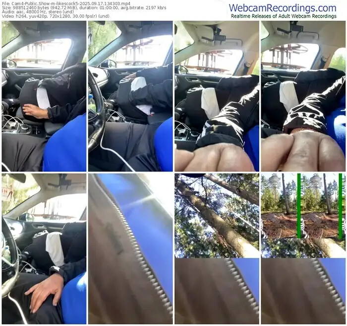 2025/09/17/cam4-likescock5-13-43-03