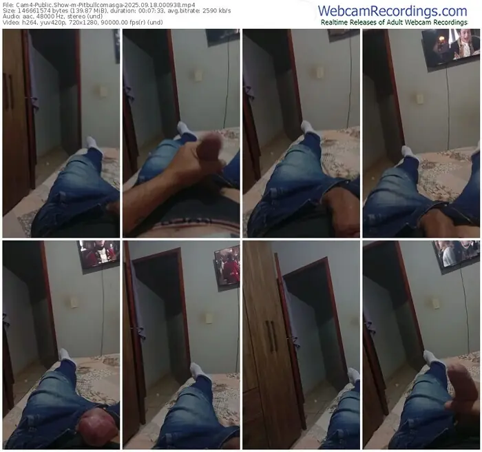 2025/09/18/cam4-pitbullcomasga-00-09-38