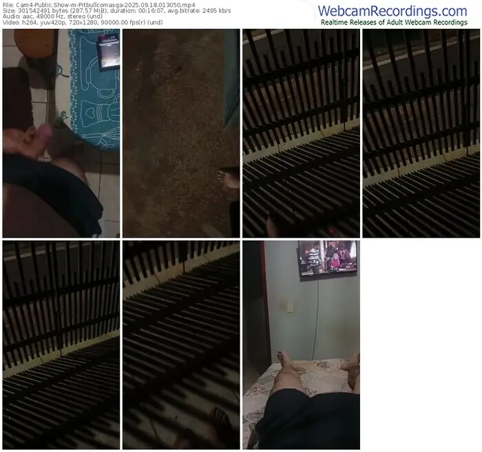 2025/09/18/cam4-pitbullcomasga-01-30-50