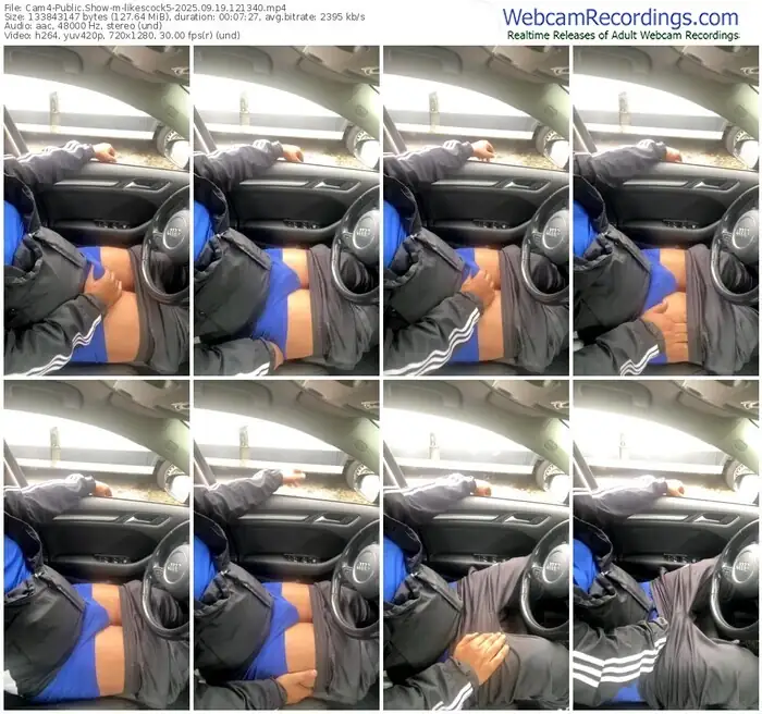 2025/09/19/cam4-likescock5-12-13-40