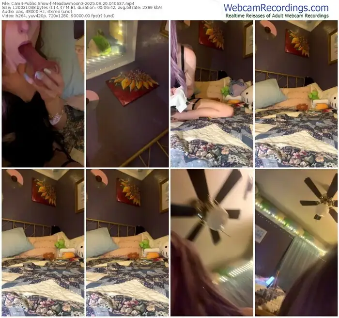 2025/09/20/cam4-meadowmoon3-04-06-37