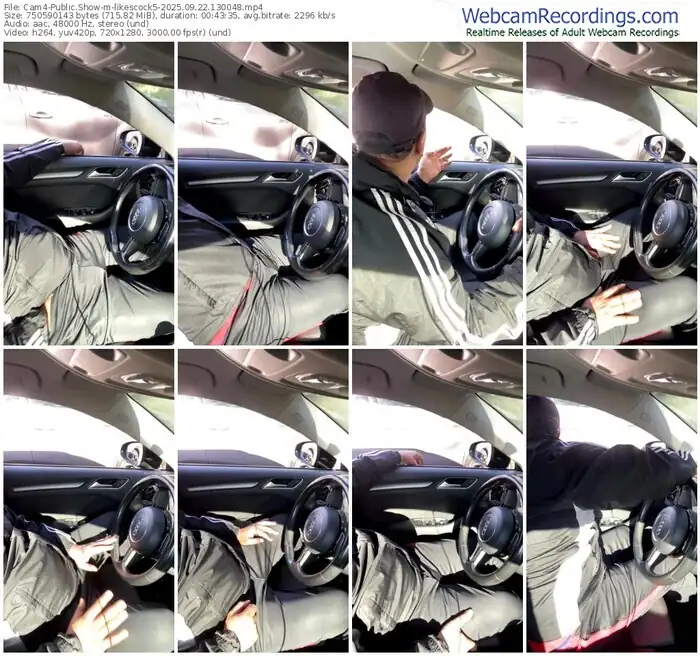 2025/09/22/cam4-likescock5-13-00-48