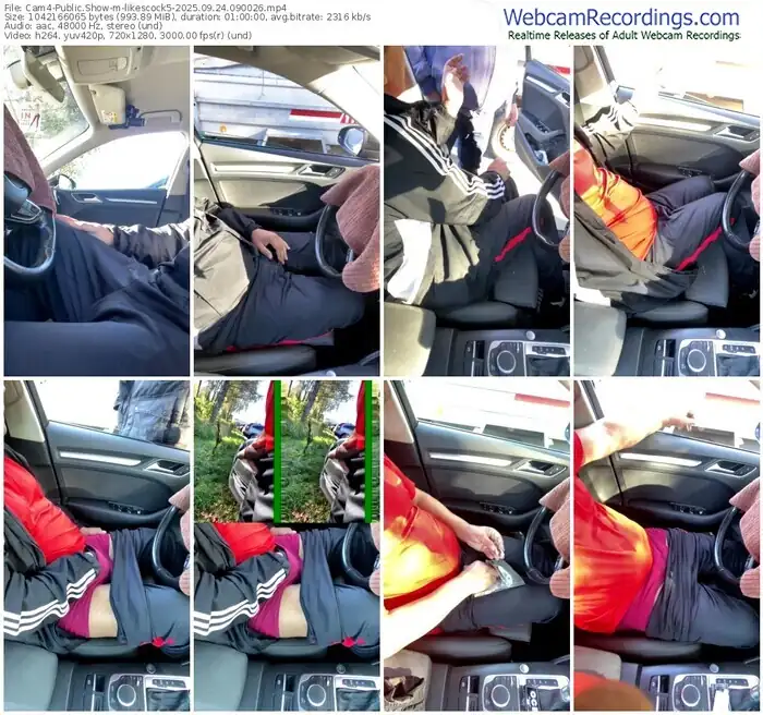 2025/09/24/cam4-likescock5-09-00-26