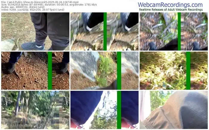 2025/09/24/cam4-likescock5-10-47-40