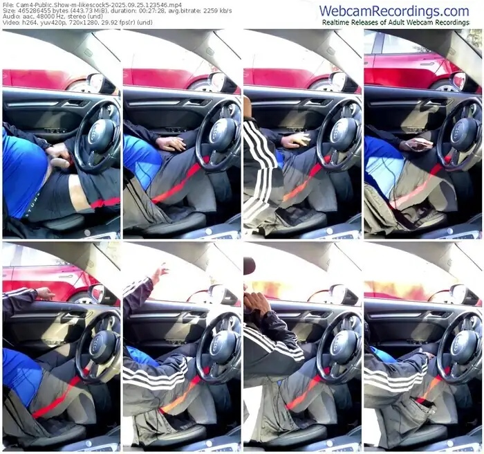 2025/09/25/cam4-likescock5-12-35-46