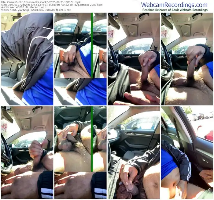 2025/09/25/cam4-likescock5-13-21-51