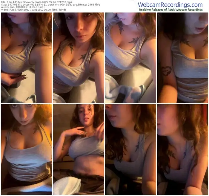 2025/09/26/cam4-mmaai-02-12-02