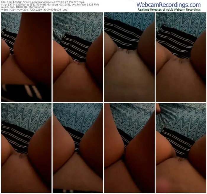 2025/09/27/cam4-panteranera6xxx-15-47-23