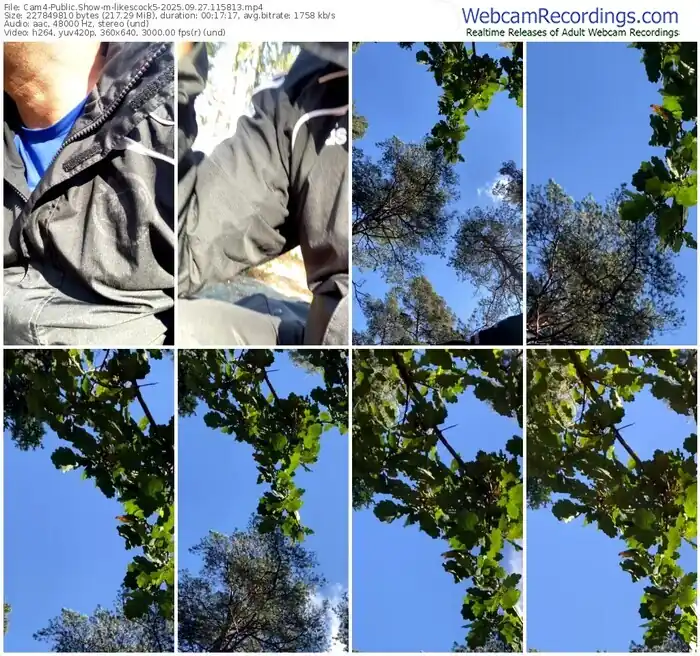 2025/09/27/cam4-likescock5-11-58-13