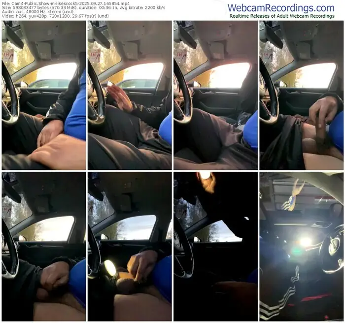 2025/09/27/cam4-likescock5-16-58-54