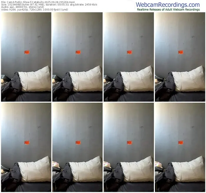 2025/09/28/cam4-catabulls-15-52-04