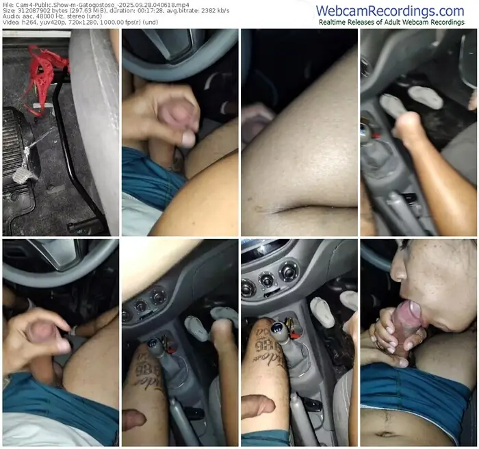 2025/09/28/cam4-gatogostoso_-04-06-18