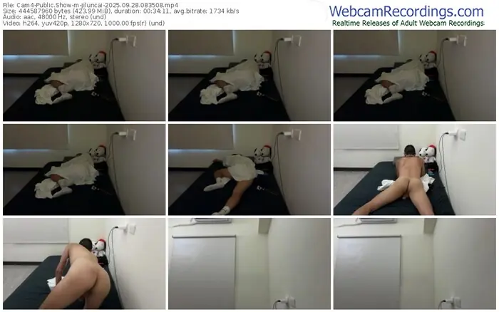 2025/09/28/cam4-jiluncai-08-35-08