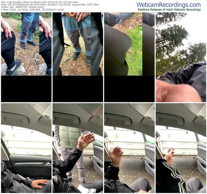 2025/09/29/cam4-likescock5-13-15-24