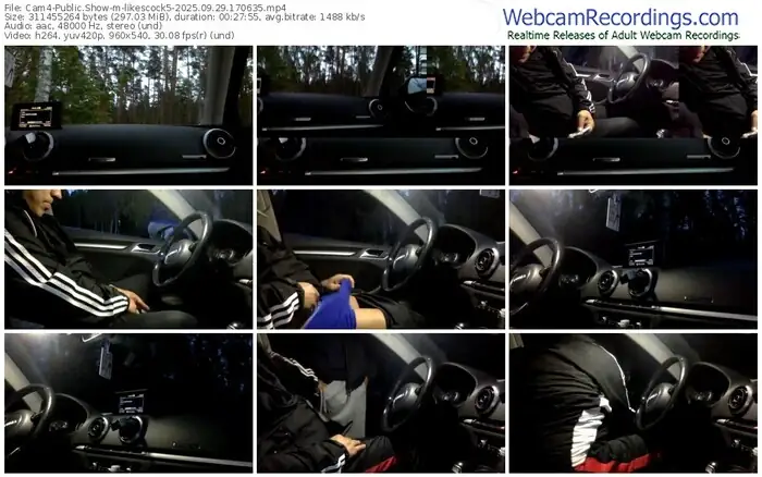 2025/09/29/cam4-likescock5-17-06-35