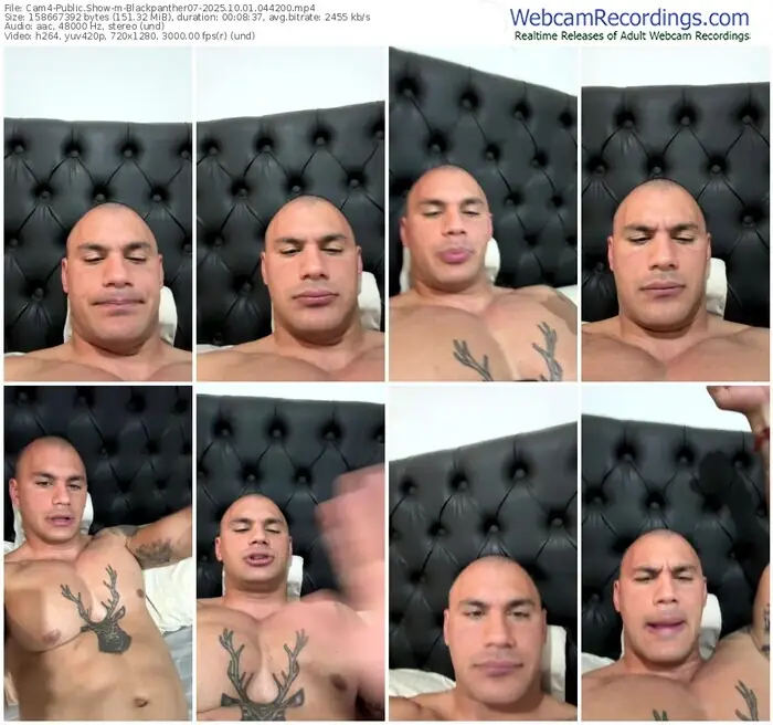 2025/10/01/cam4-blackpanther07-04-42-00