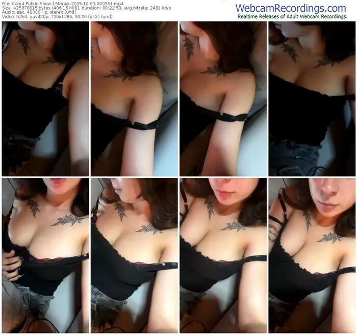 2025/10/03/cam4-mmaai-00-03-51