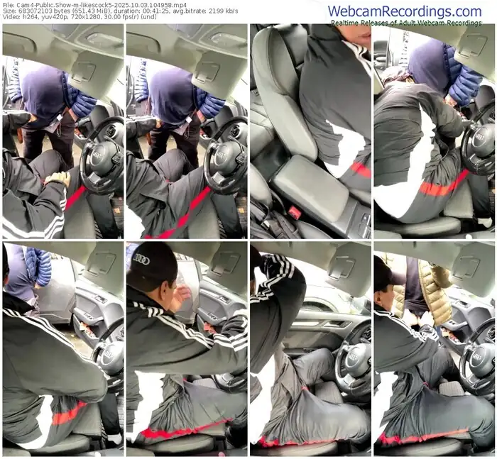 2025/10/03/cam4-likescock5-10-49-58