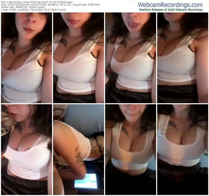 2025/10/04/cam4-mmaai-02-43-29