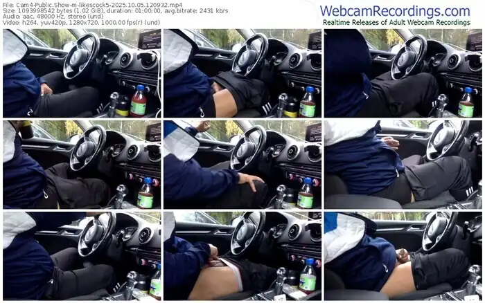 2025/10/05/cam4-likescock5-12-09-32