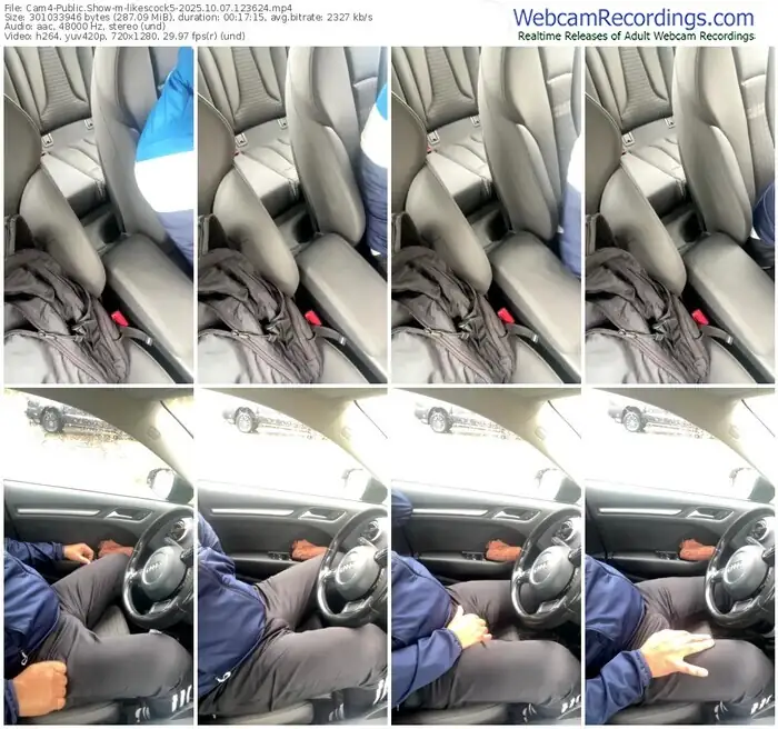 2025/10/07/cam4-likescock5-12-36-24