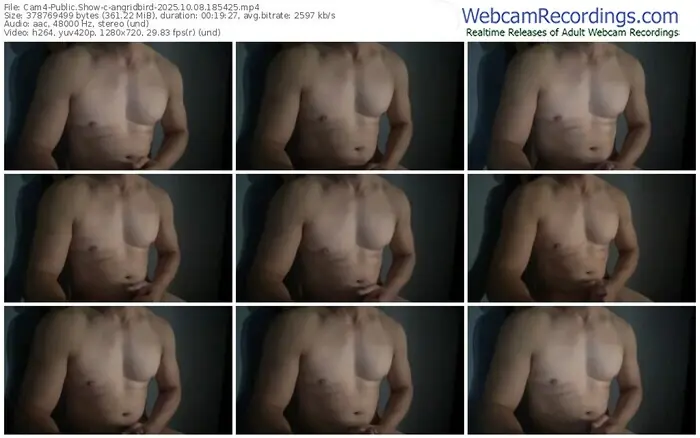 2025/10/08/cam4-angridbird-18-54-25