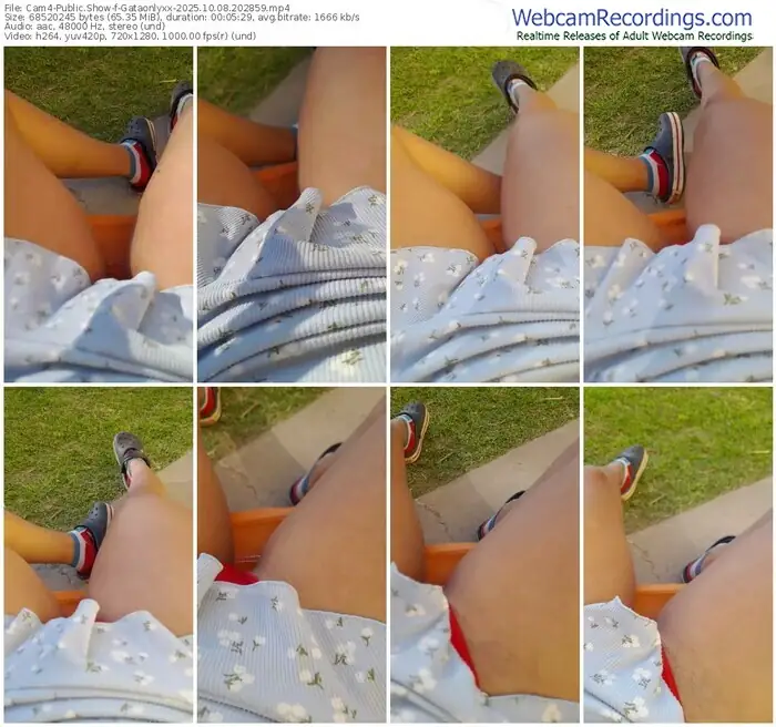 2025/10/08/cam4-gataonlyxx-20-28-59