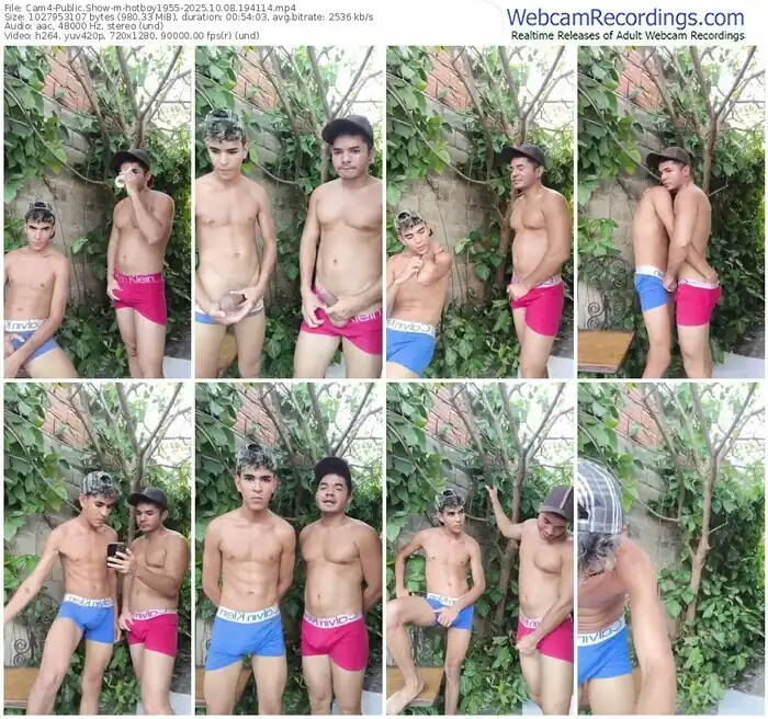2025/10/08/cam4-hotboy1955-19-41-14
