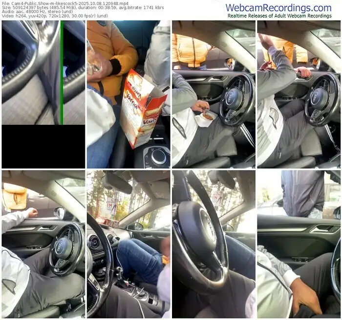 2025/10/08/cam4-likescock5-12-09-48