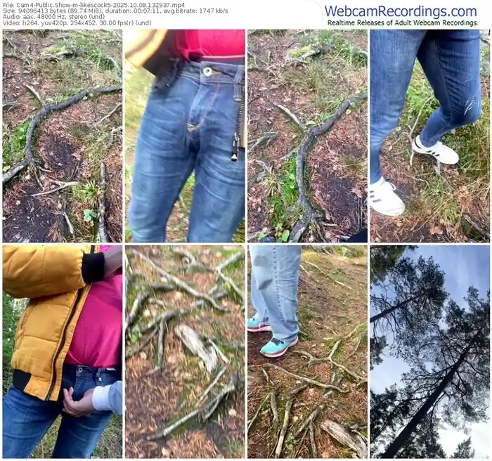 2025/10/08/cam4-likescock5-13-29-37