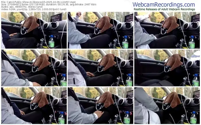 2025/10/09/cam4-likescock5-12-24-57