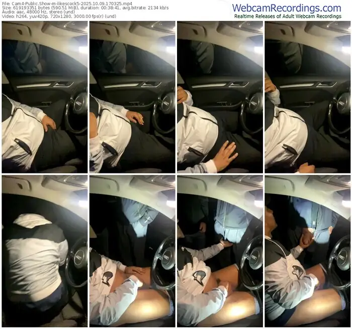 2025/10/09/cam4-likescock5-17-03-25