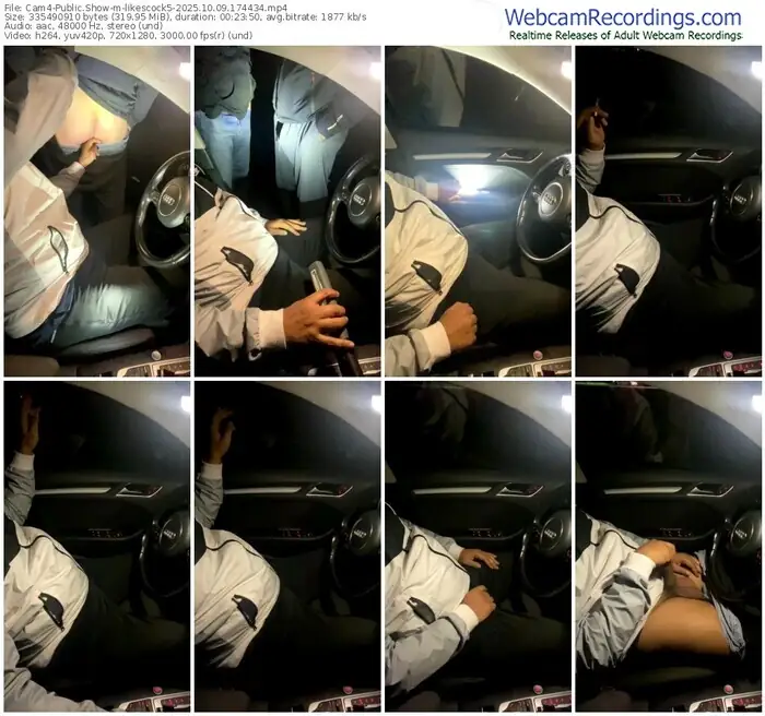 2025/10/09/cam4-likescock5-17-44-34