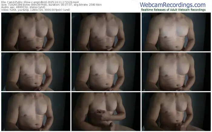 2025/10/11/cam4-angridbird-17-21-29