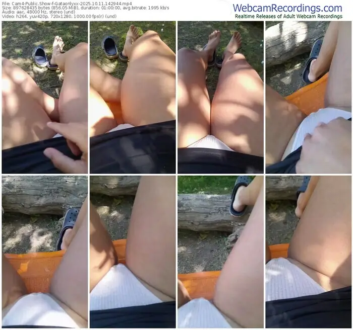 2025/10/11/cam4-gataonlyxx-14-29-44