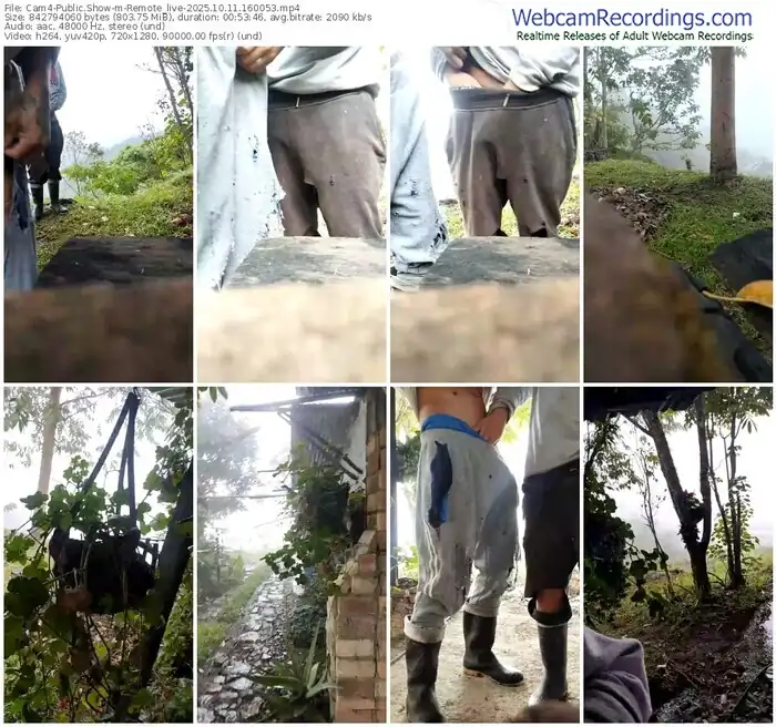 2025/10/11/cam4-remote_live-16-00-53