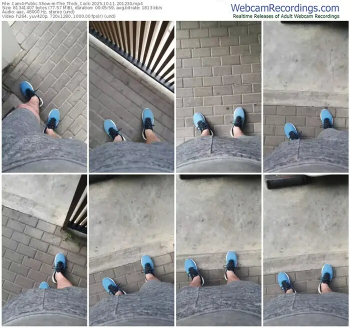 2025/10/11/cam4-the_thick_cock-20-12-30